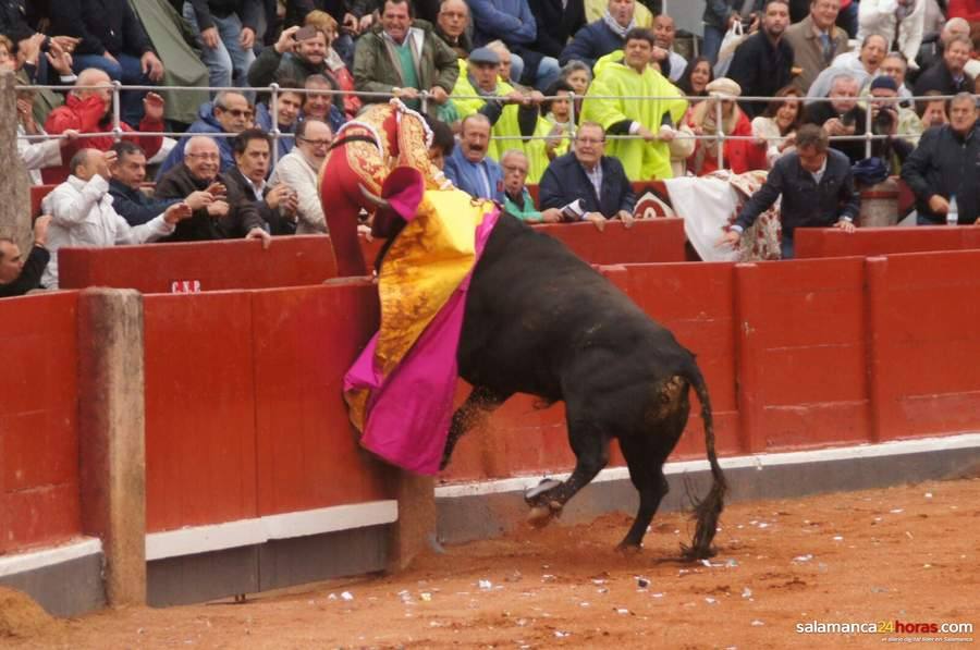 Cogida de Miguel Ángel Perera en Salamanca