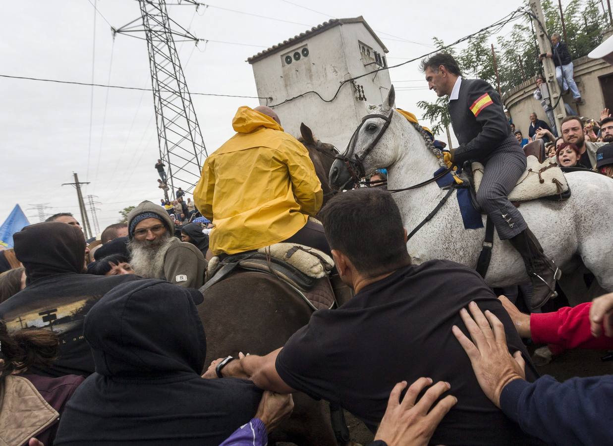 El Toro de la Vega 2015