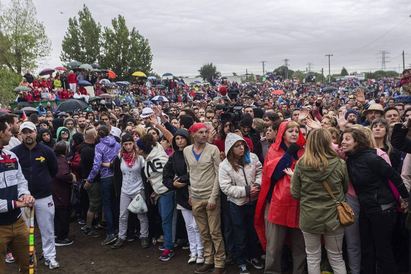 El Toro de la Vega 2015