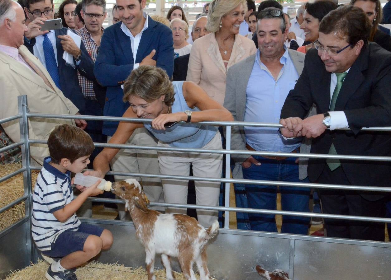 Inauguración de la Feria Internacional Ganadera de Zafra 2015