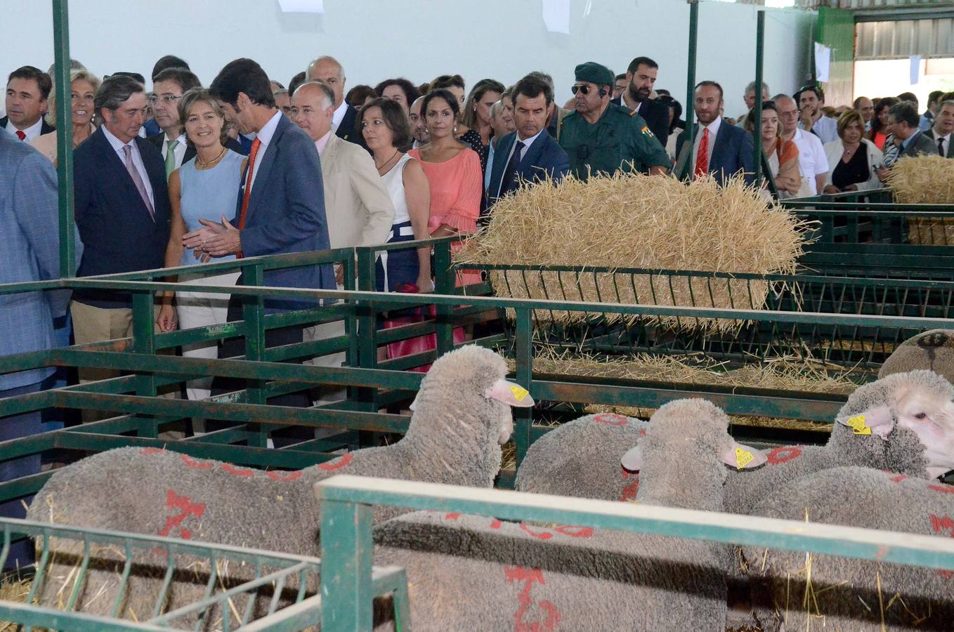 Inauguración de la Feria Internacional Ganadera de Zafra 2015