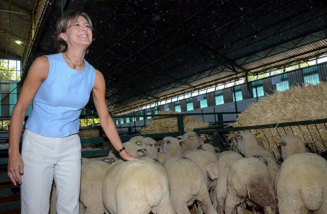 Inauguración de la Feria Internacional Ganadera de Zafra 2015