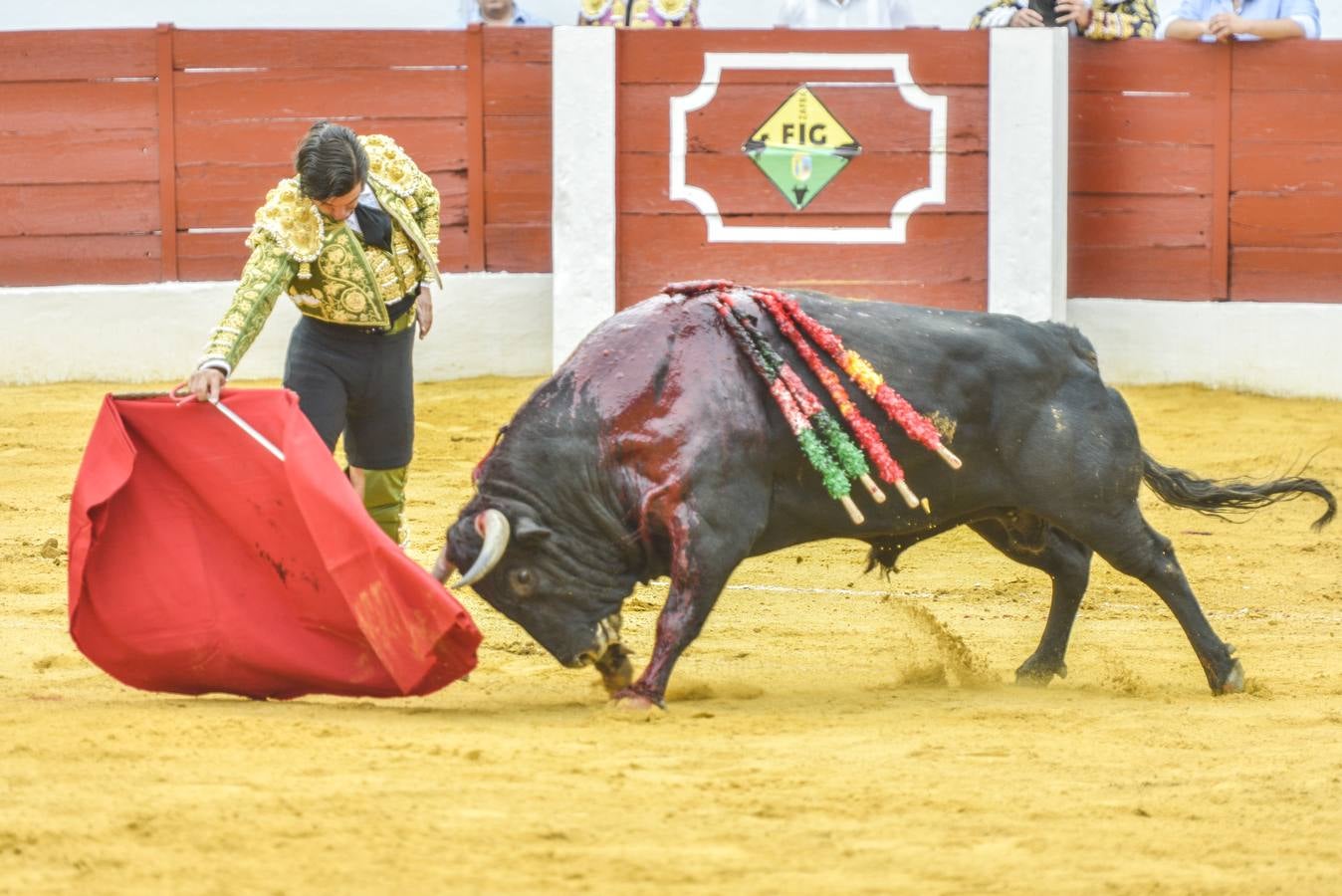 Posada de Maravillas triunfa en su alternativa en Zafra