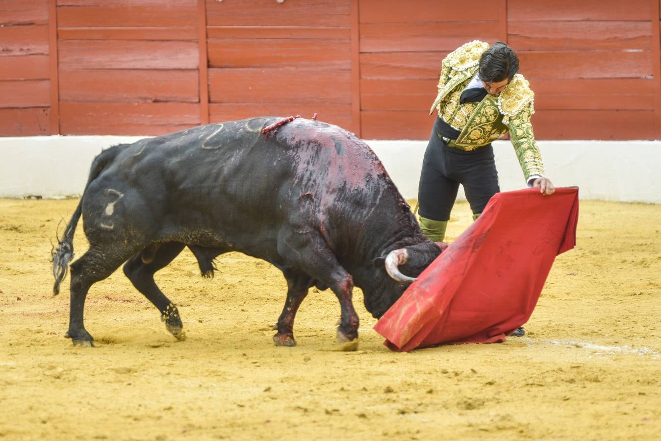 Posada de Maravillas triunfa en su alternativa en Zafra