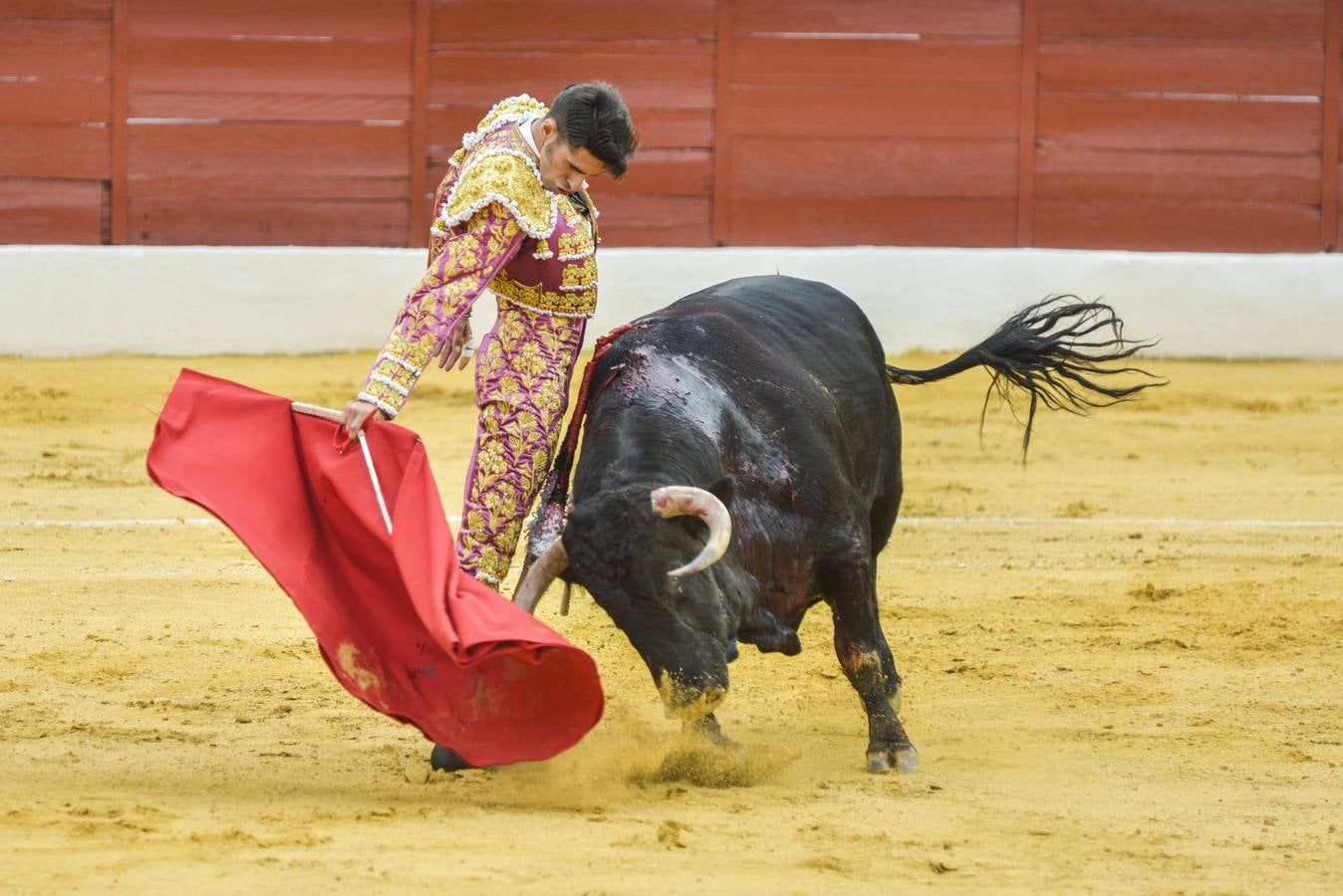 Posada de Maravillas triunfa en su alternativa en Zafra