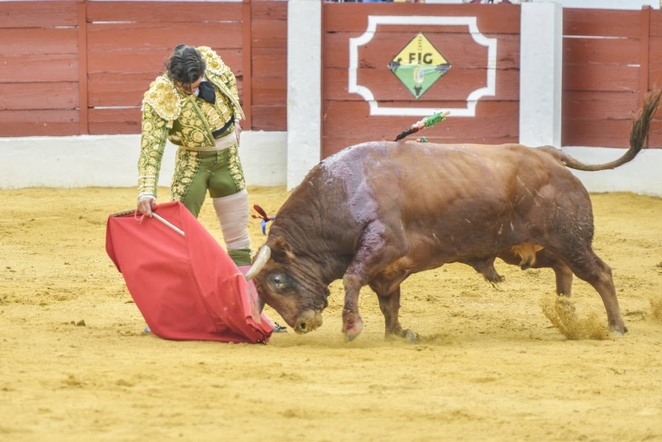 Posada de Maravillas triunfa en su alternativa en Zafra