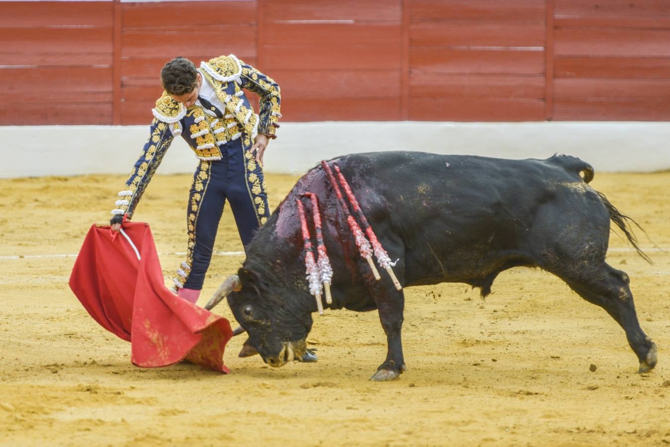 Posada de Maravillas triunfa en su alternativa en Zafra