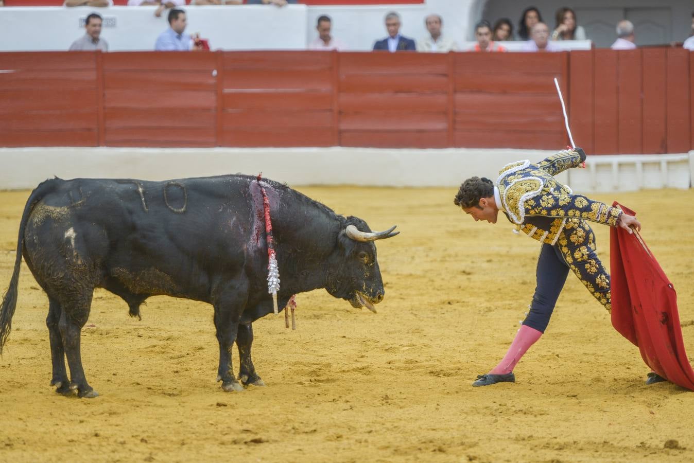 Posada de Maravillas triunfa en su alternativa en Zafra