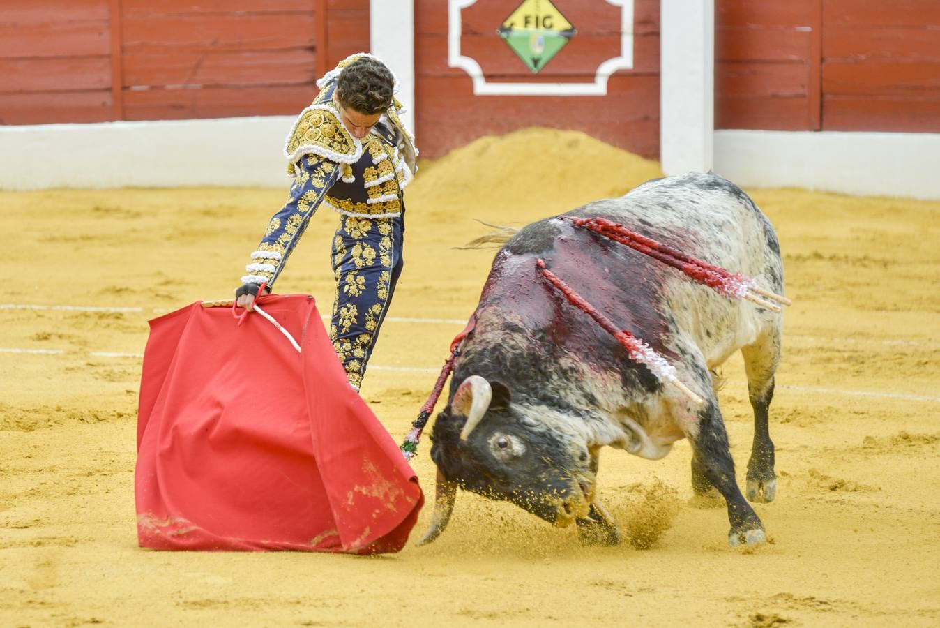 Posada de Maravillas triunfa en su alternativa en Zafra