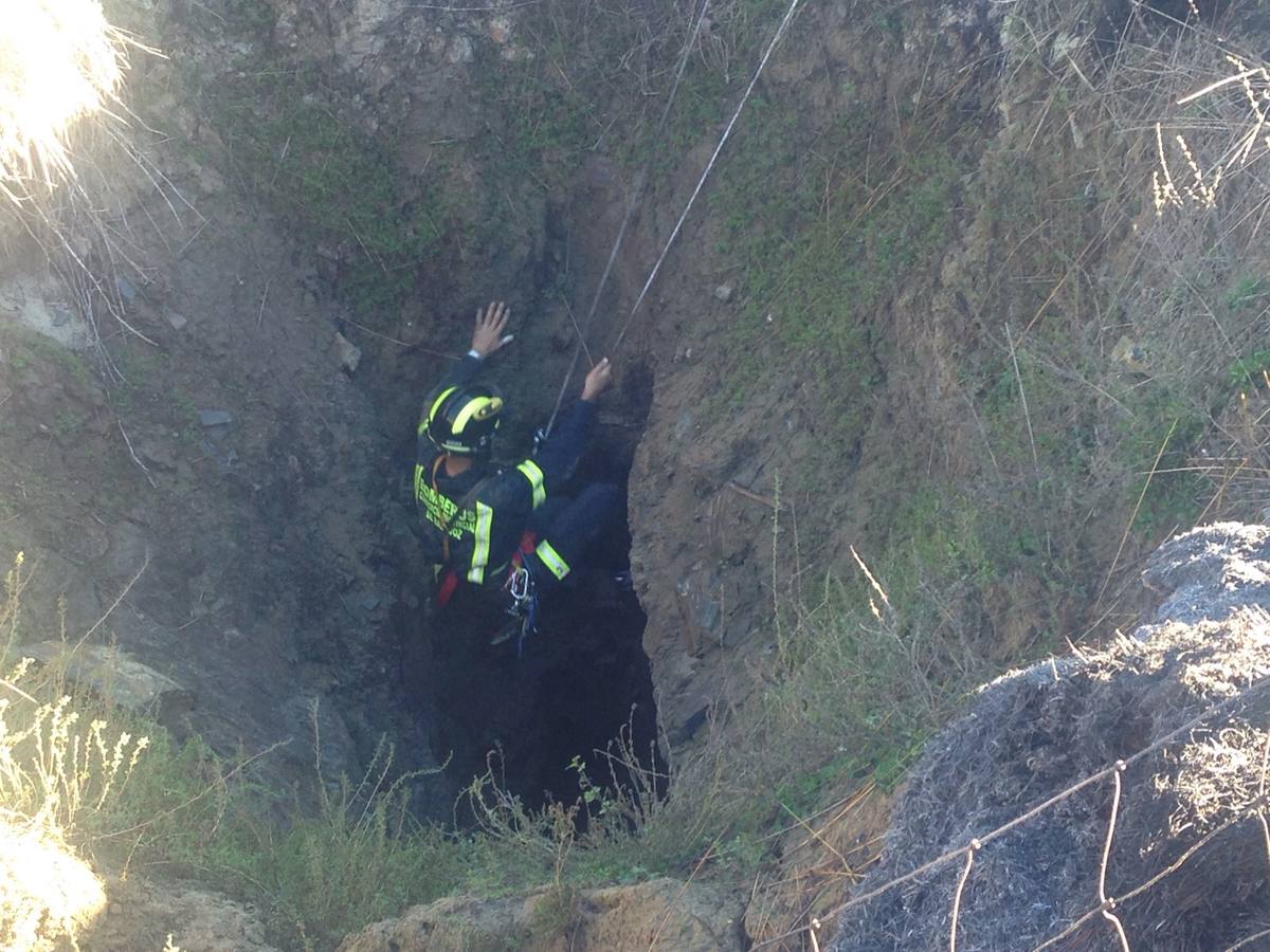 Rescate de un perro atrapado desde hace varios días en una galería en Azuaga