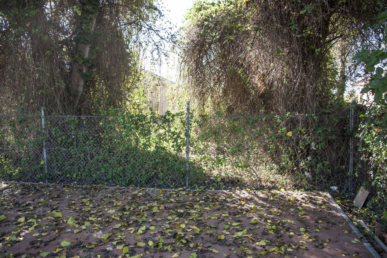 La maleza invade la colonia de la base de Talavera