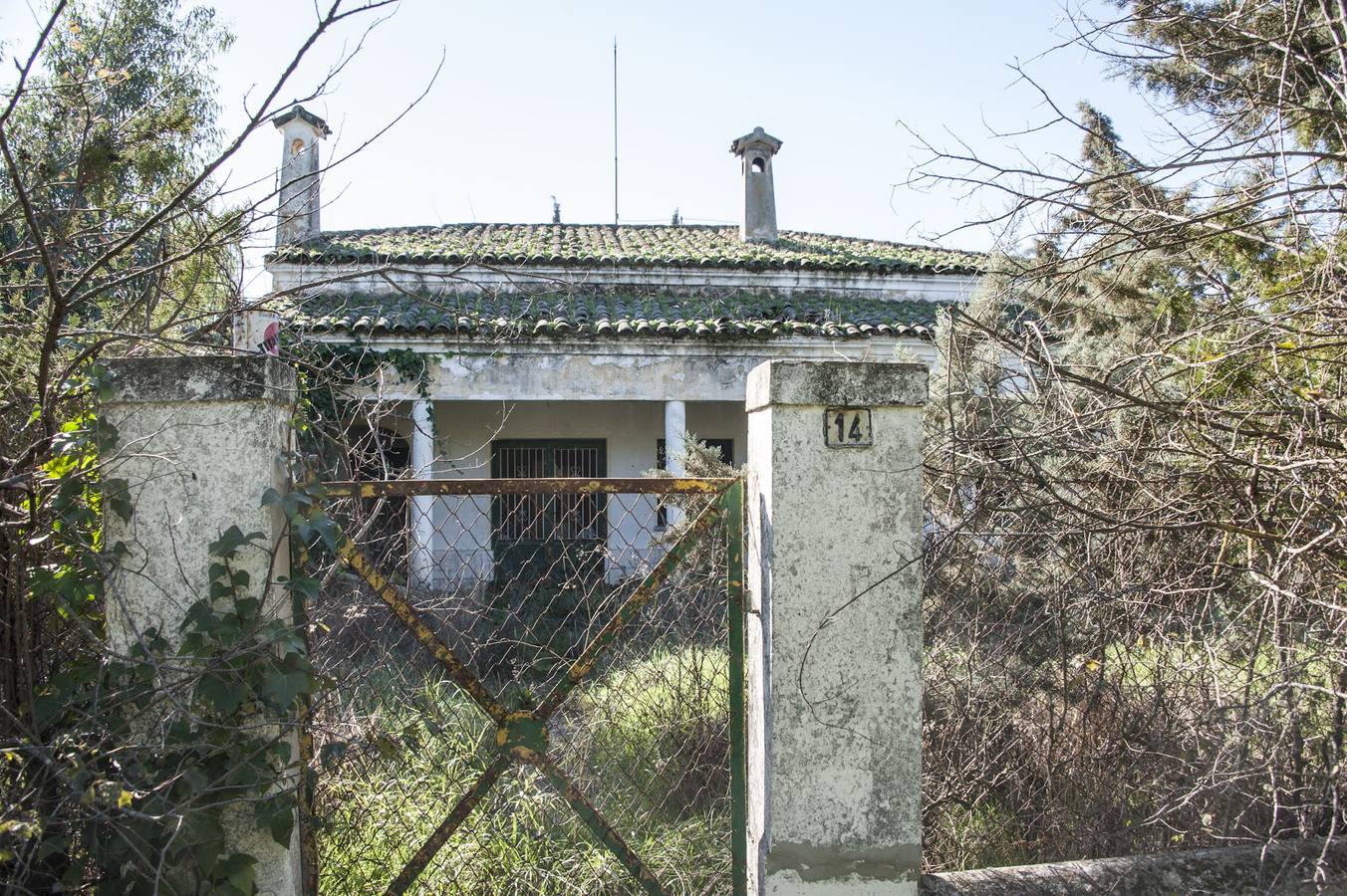 La maleza invade la colonia de la base de Talavera