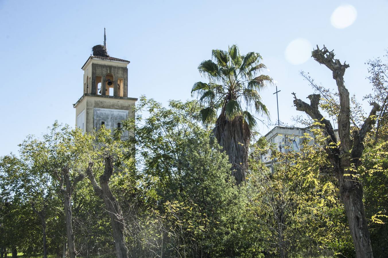 La maleza invade la colonia de la base de Talavera