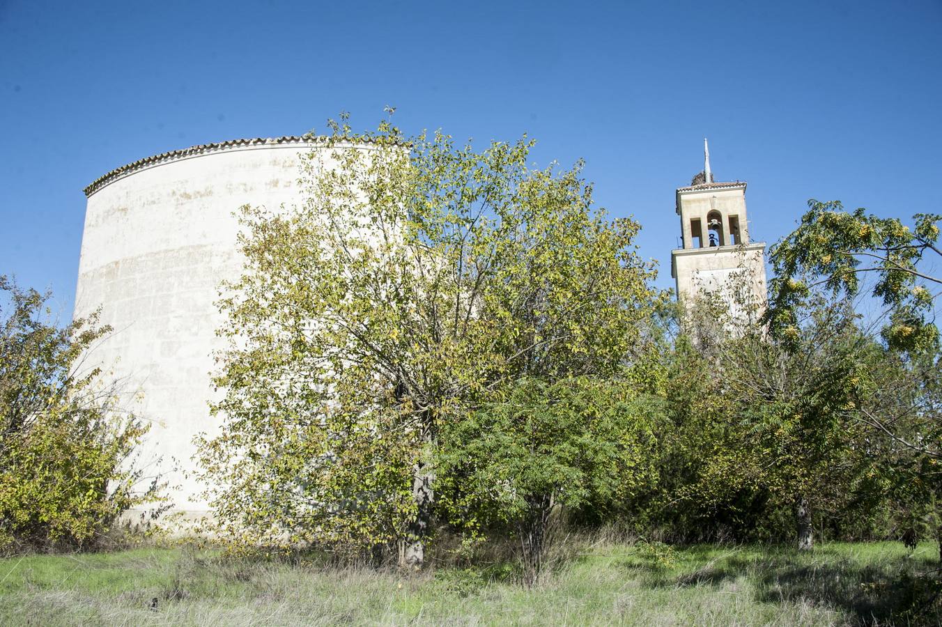 La maleza invade la colonia de la base de Talavera