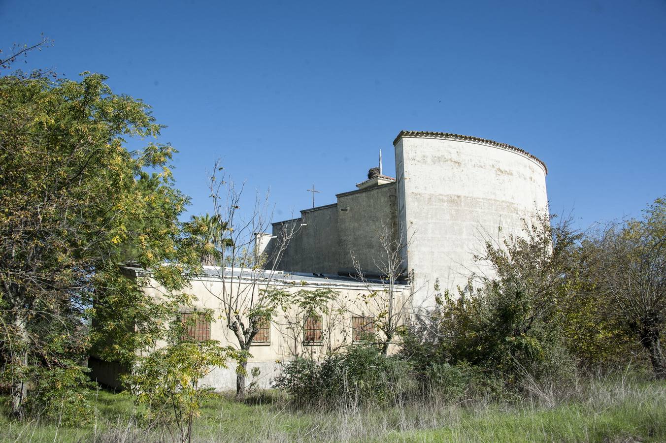 La maleza invade la colonia de la base de Talavera