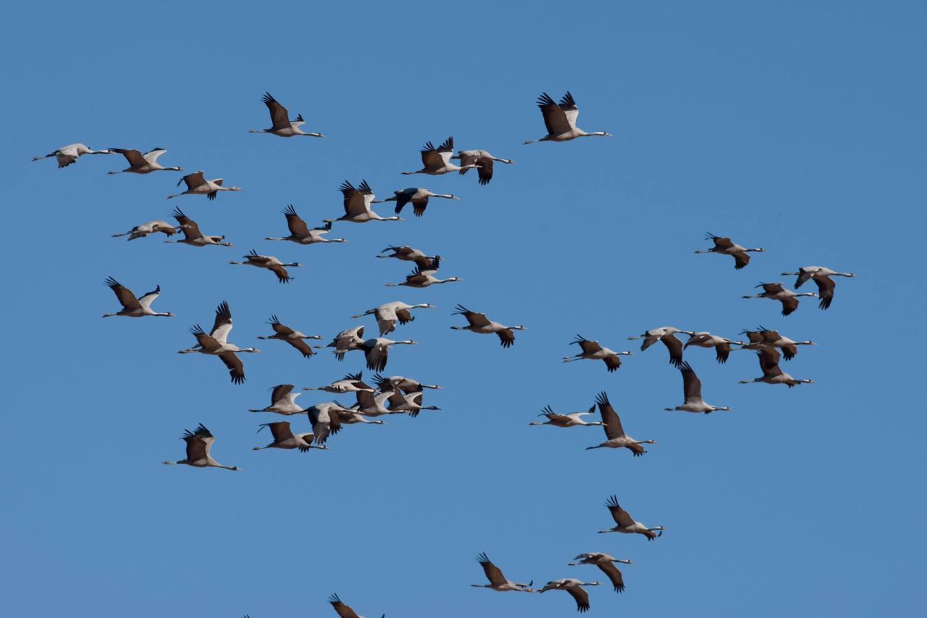 Fotografía: Tatavasco