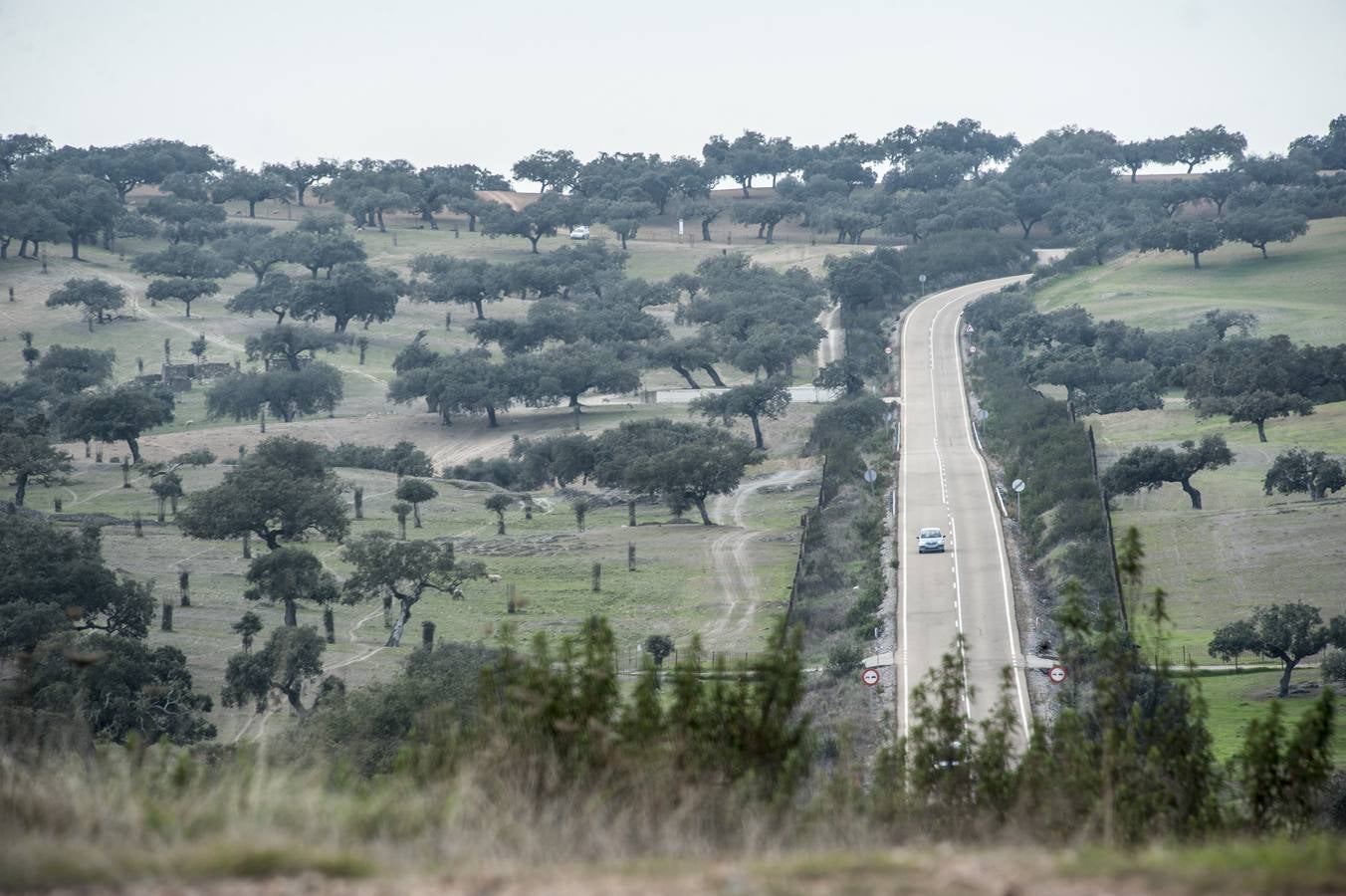 Los Campos Comunales de Oliva de Frontera