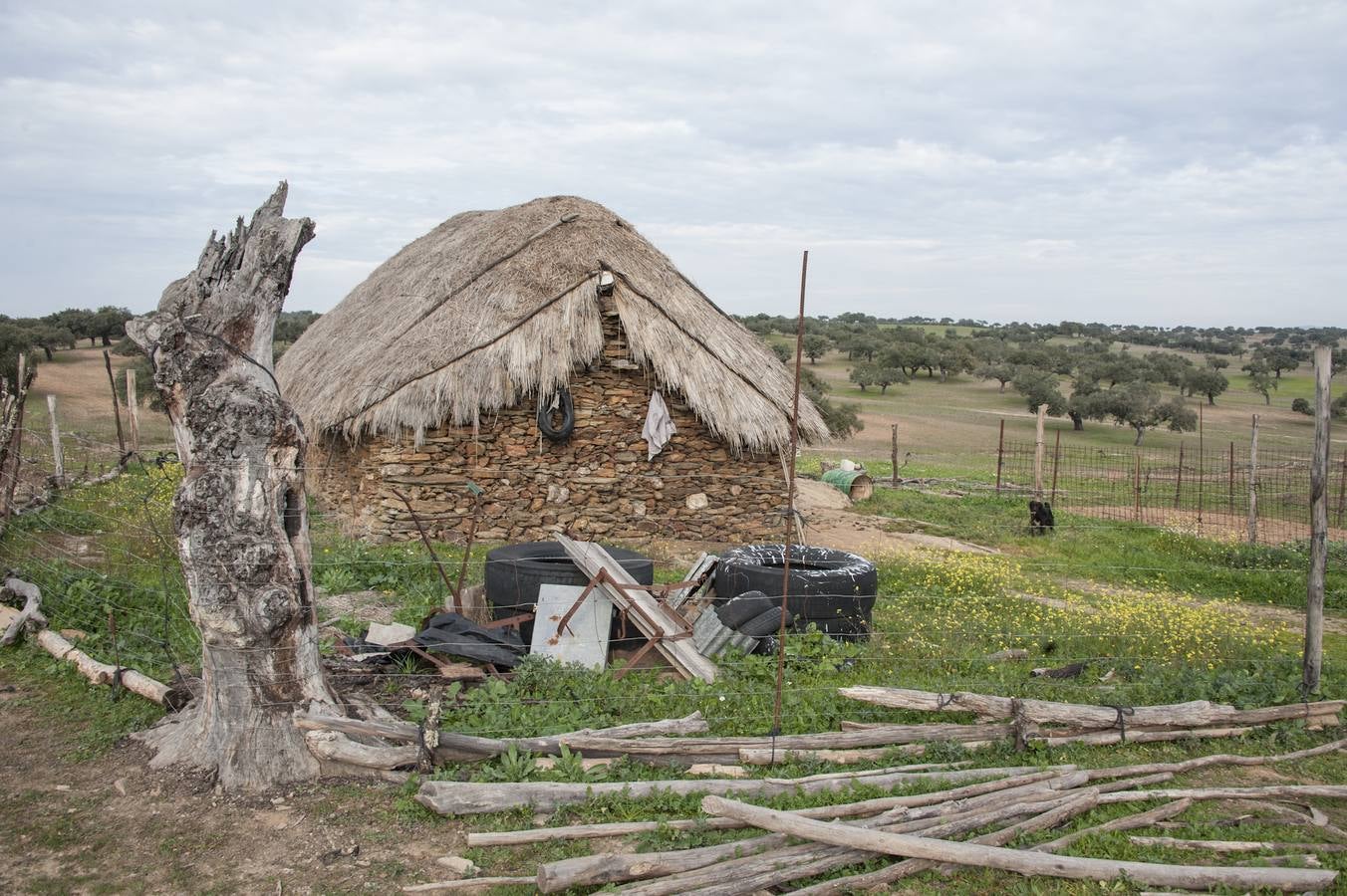 Los Campos Comunales de Oliva de Frontera