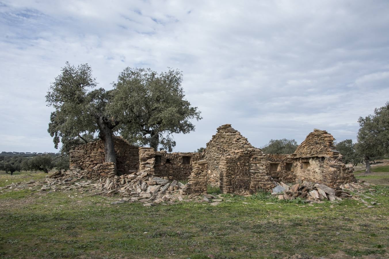 Los Campos Comunales de Oliva de Frontera