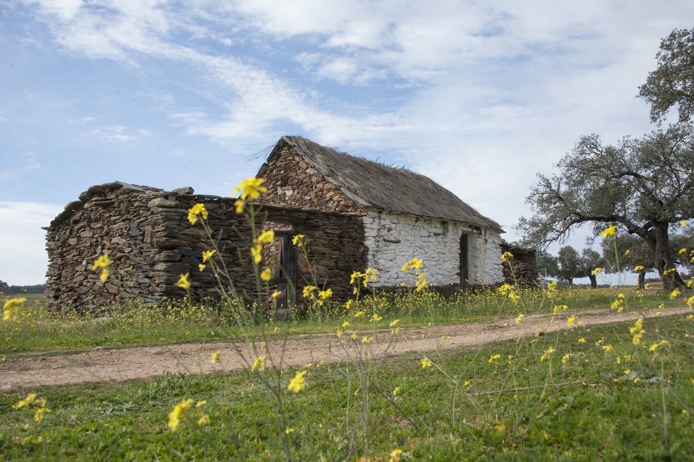 Los Campos Comunales de Oliva de Frontera