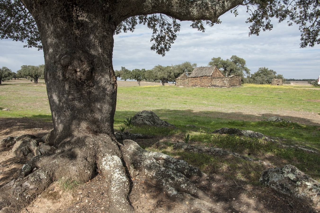 Los Campos Comunales de Oliva de Frontera