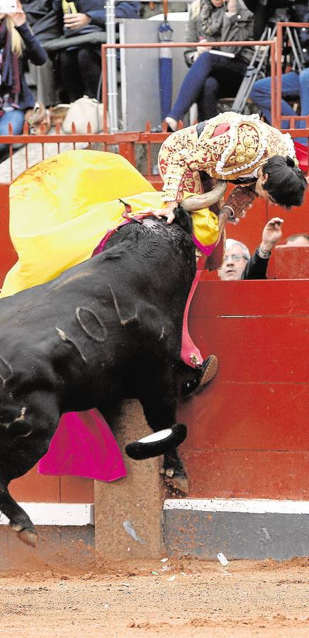 Brutal cogida del torero extremeño Miguel Ángel Perera en Salamanca.