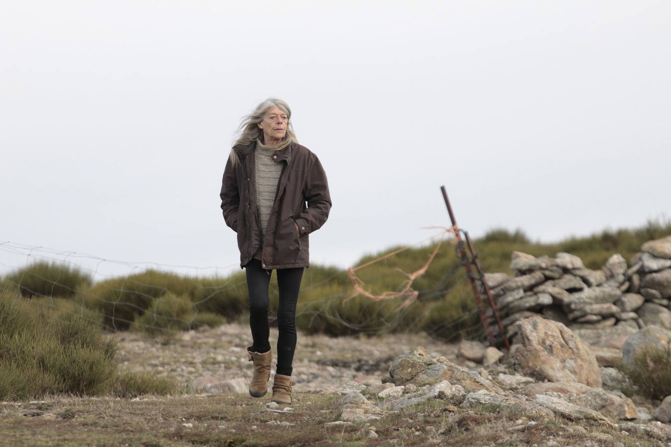 Los caballos más salvajes de Europa trotan en la Vera