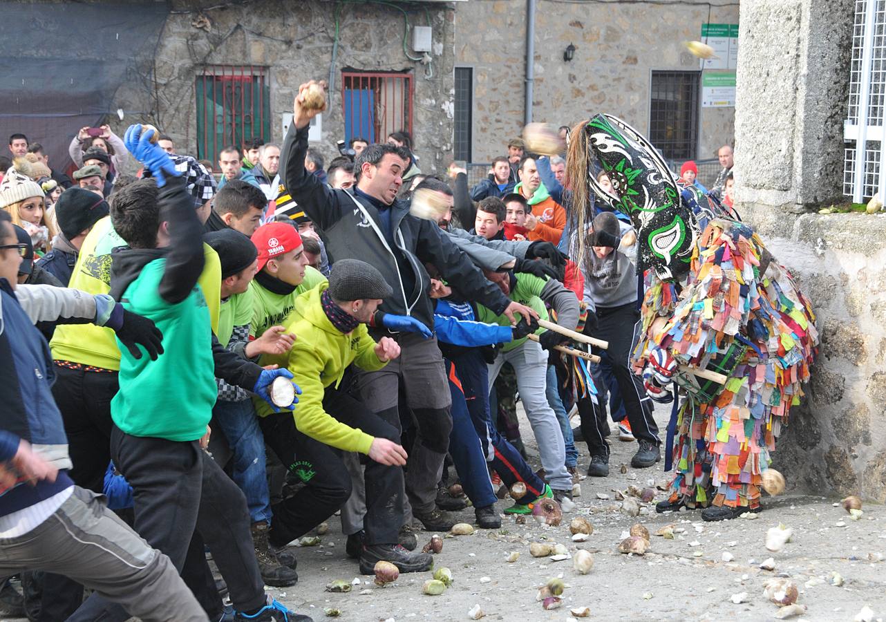 Martes, 19 de enero: Los vecinos de la localidad cacereña de Piornal pidieron la declaración de interés turístico internacional para su Jarramplas y lo hicieron como es tradición, con una lluvia de nabos sobre este mítico personaje que es el epicentro de la fiesta más impactante de toda Extremadura. Fotografías: David Palma