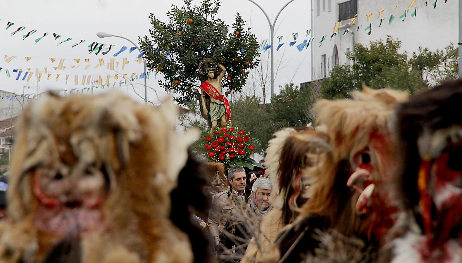 Miércoles, 20 de enero: Con motivo del día de San Sebastián, las Carantoñas volvieron a salir un año más por las calles de la localidad cacereña de Acehúche. Fotografías: Marisa Núñez.
