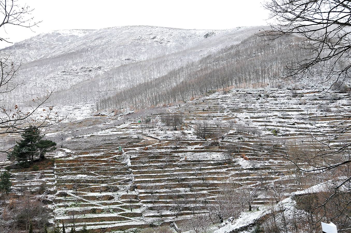 Primera nevada en el Puerto de Tornavacas