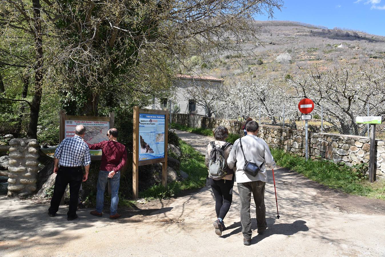 El Valle del Jerte comienza a florecer