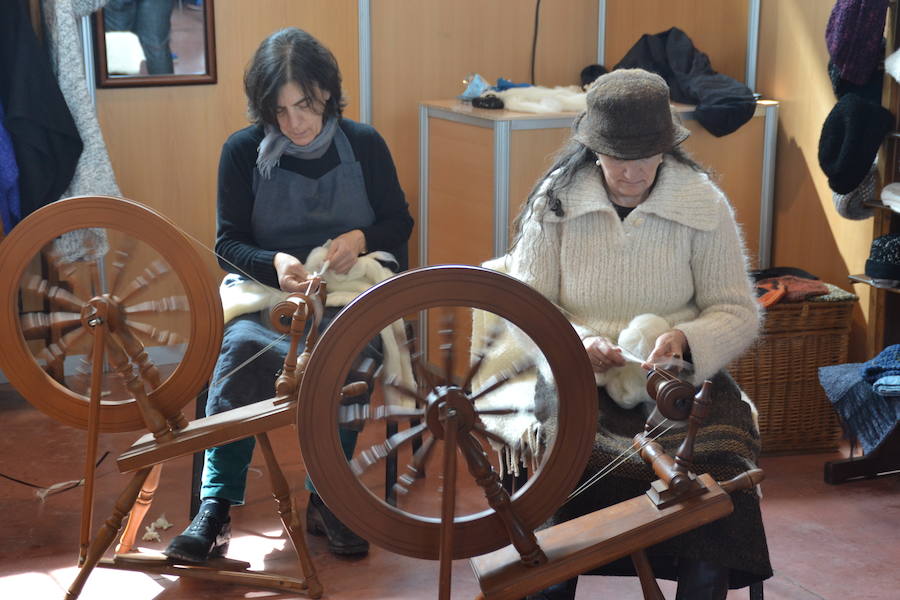 Campeonato de España de Merinas VIII Open de Esquileo de Extremadura