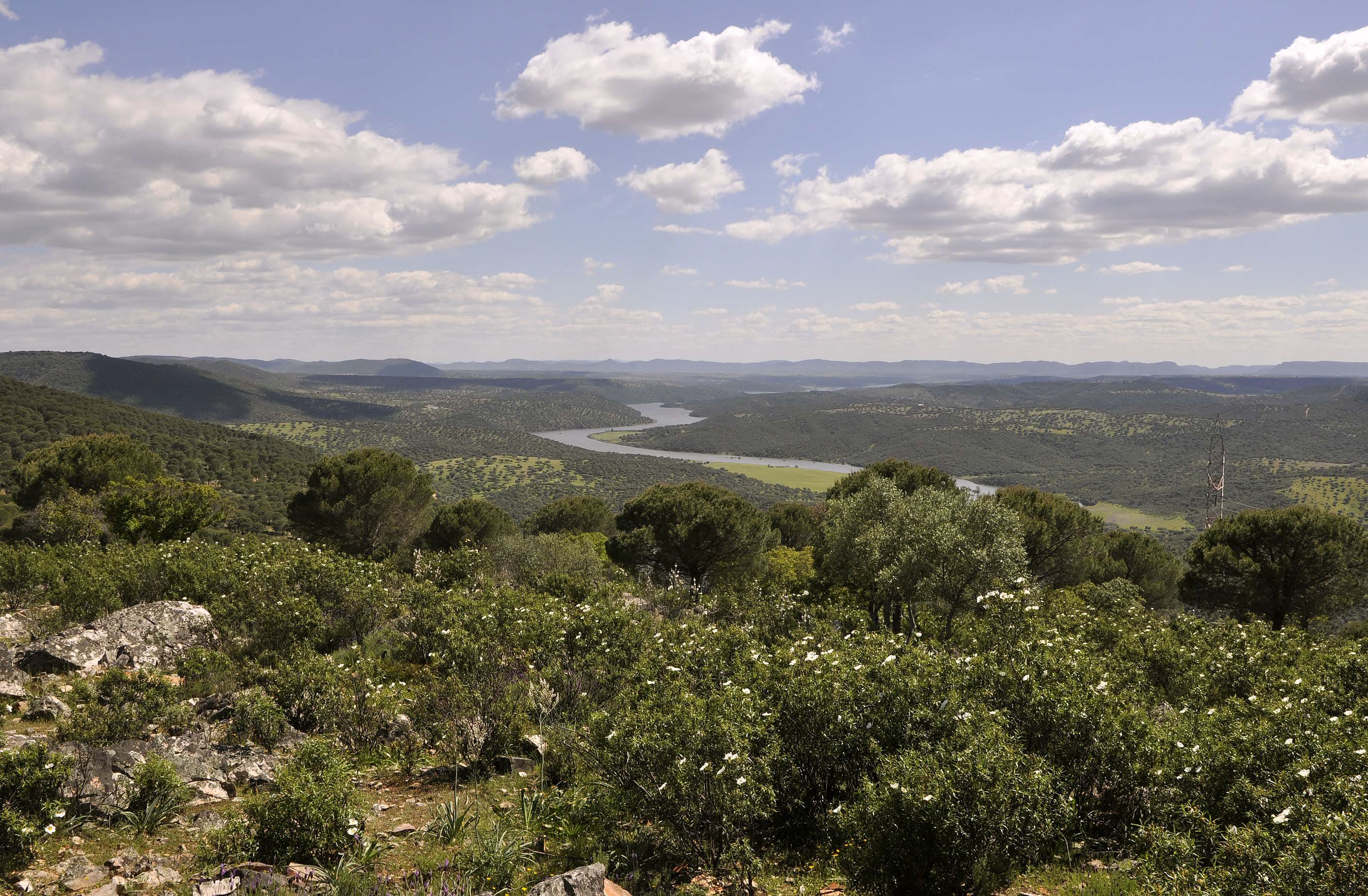 La Siberia quiere ser Reserva de la Biosfera