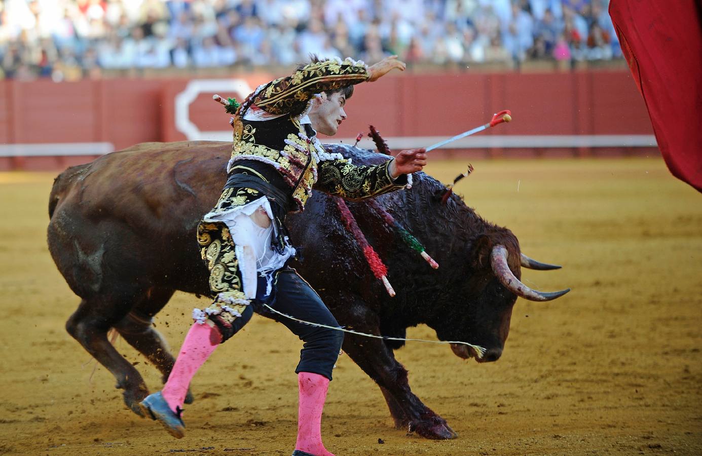 Jueves, 14 de abril: El torero de Badajoz firmó un trabajo conmovedor por el riesgo y el rigor con un violento e incierto toro de Cuvillo que lo cogió de lleno pero no llegó a herirlo. Fotografía: Agencias