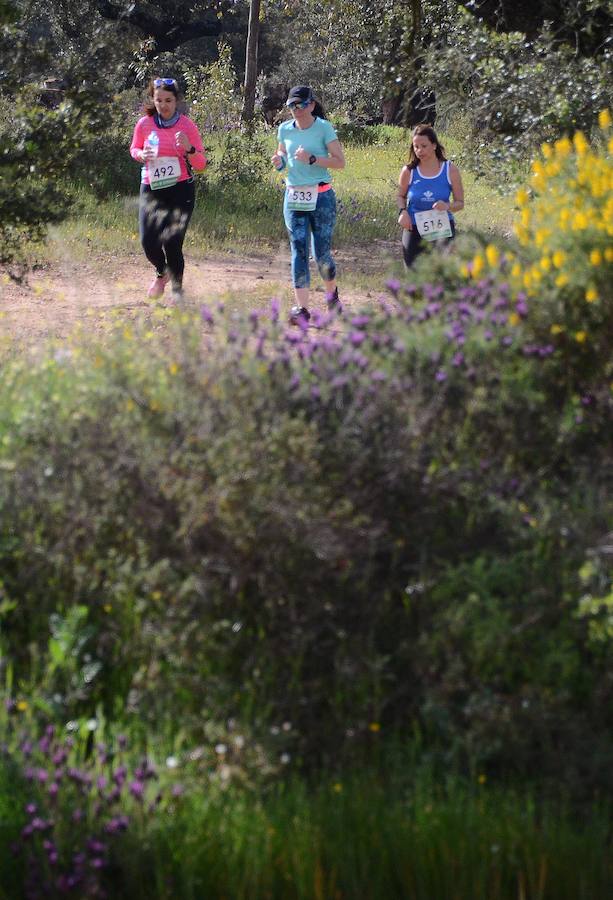 ¿Has participado en el IV Desafío San Fernando?