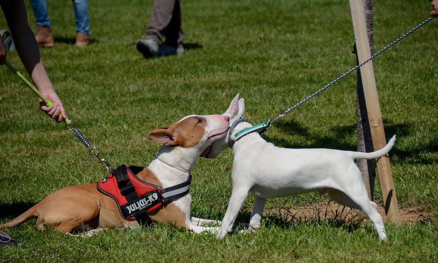 Las imágenes de la semana