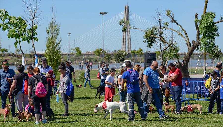 Las imágenes de la semana
