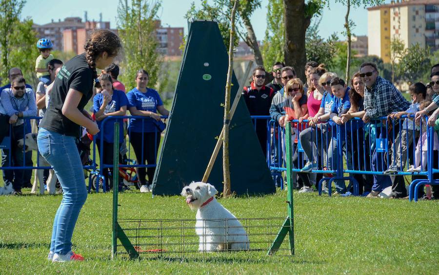 Las imágenes de la semana