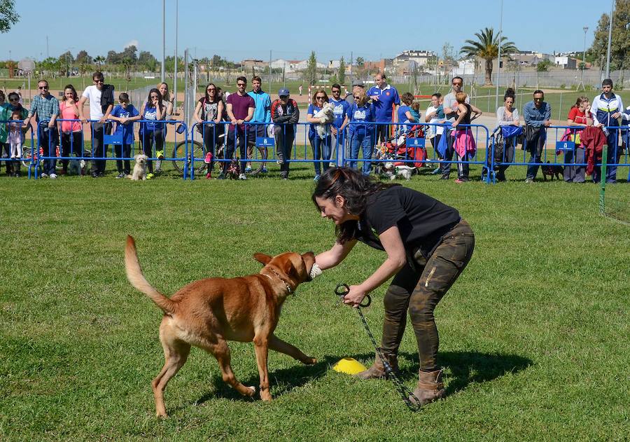 Domingo, 24 de abril: I Día de la Mascota en Badajoz Que perros y personas pueden convivir fue la motivación de la jornada celebrada en el parque del río. Fotografías: Casimiro Moreno