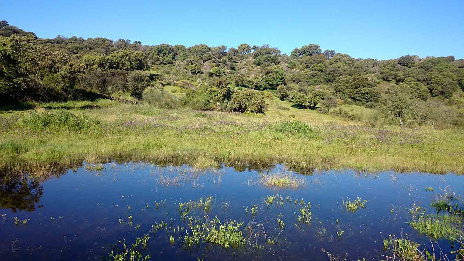 La primavera en el norte de Extremadura