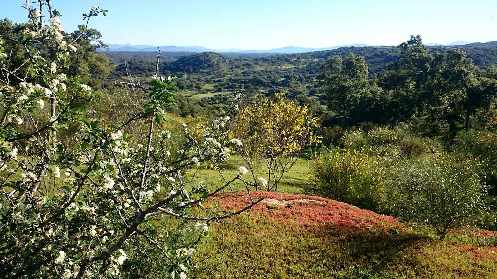 La primavera en el norte de Extremadura