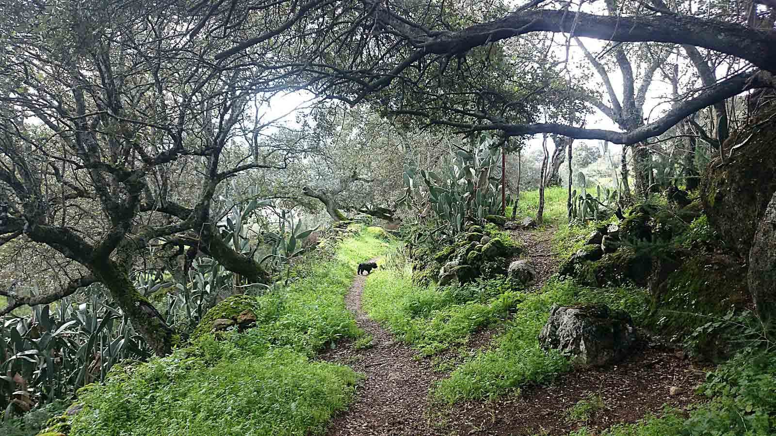 La primavera en el norte de Extremadura