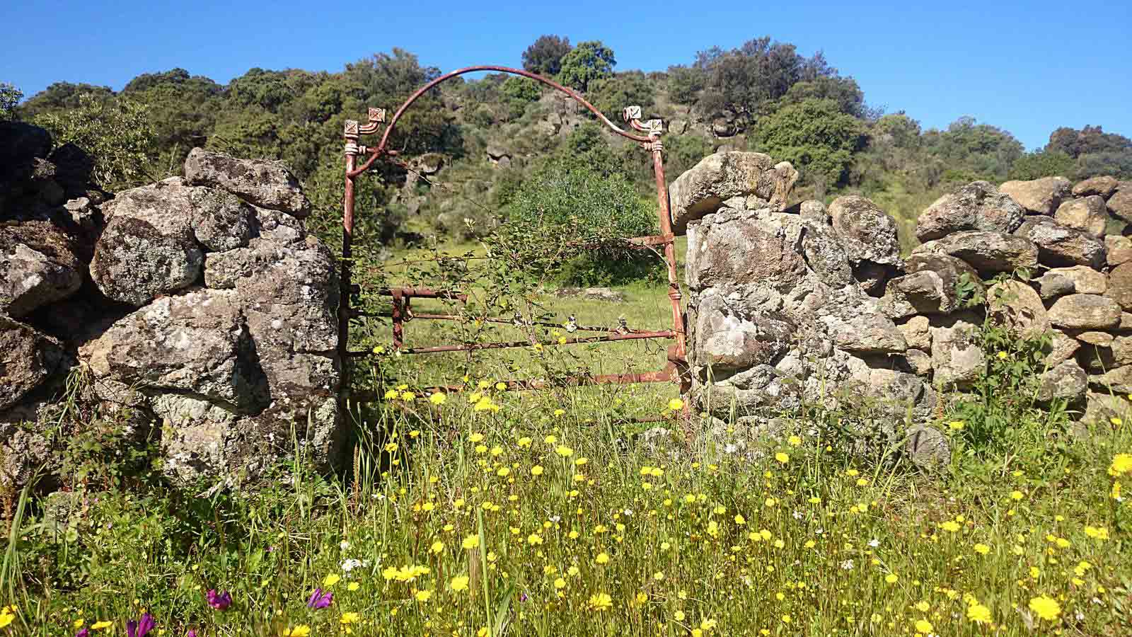 La primavera en el norte de Extremadura