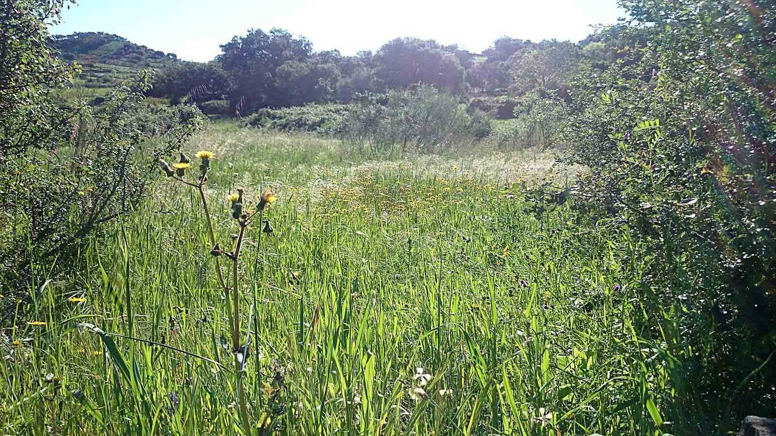 La primavera en el norte de Extremadura