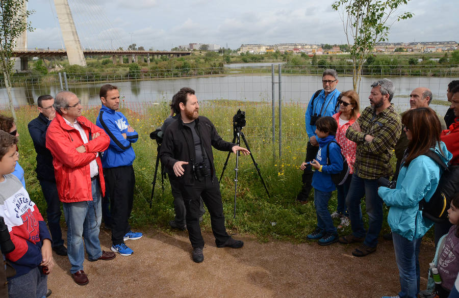 La avifauna del Guadiana a su paso por Badajoz