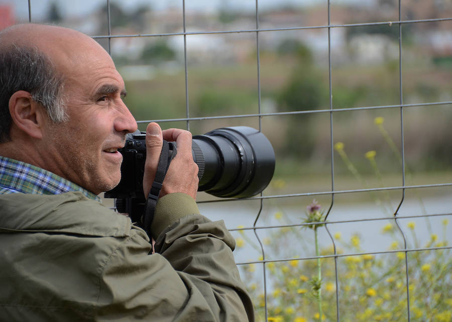 La avifauna del Guadiana a su paso por Badajoz