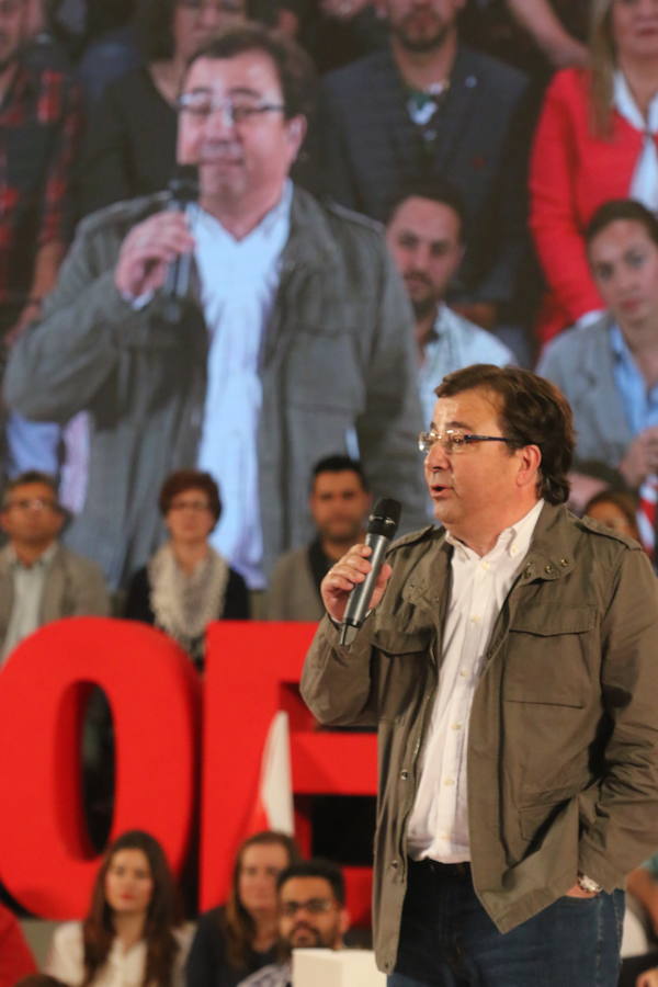 El Día de la Rosa, en Mérida