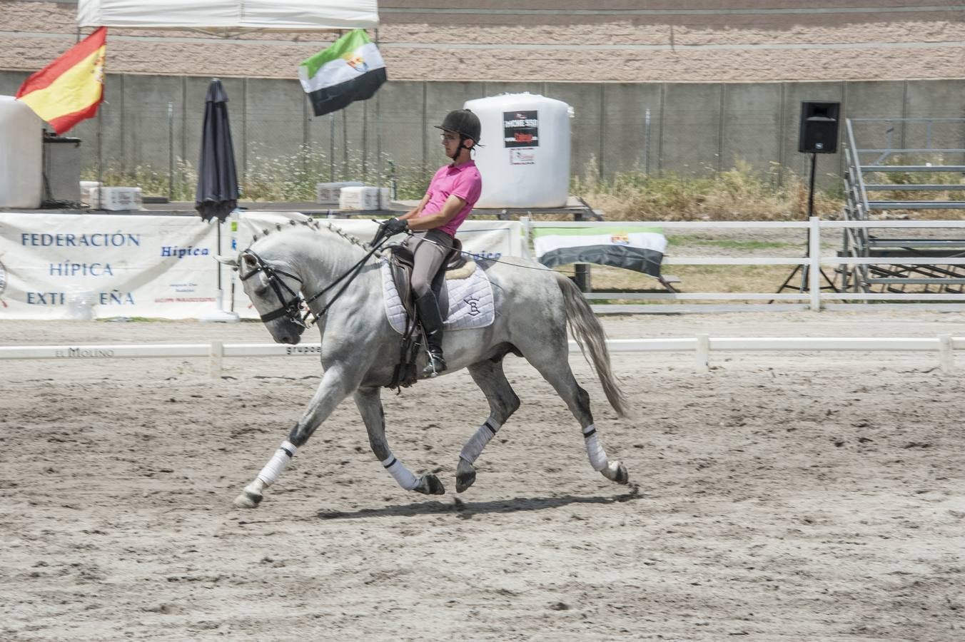 Inauguración de la VIII edición de Ecuextre