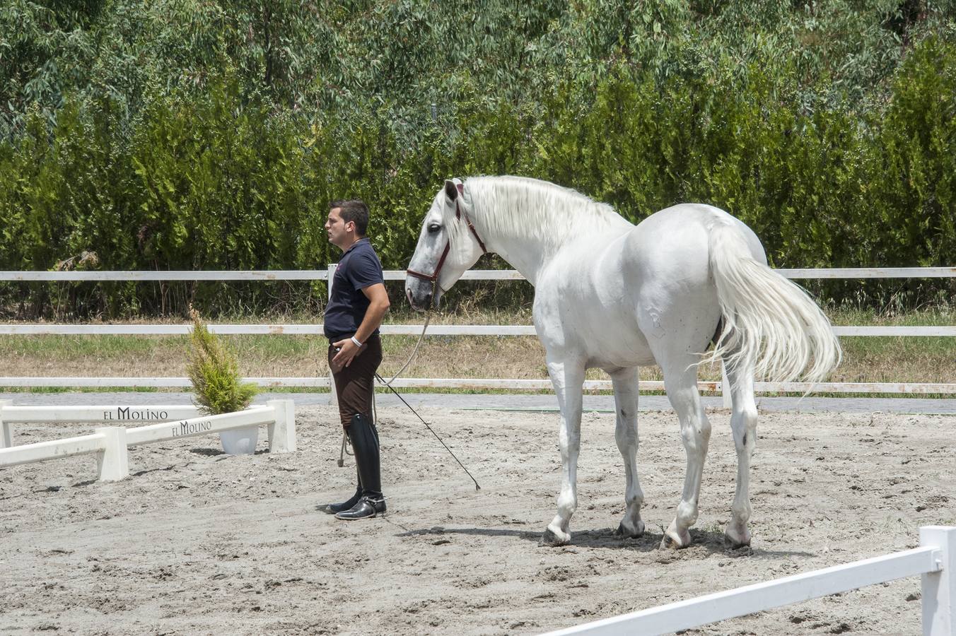 Inauguración de la VIII edición de Ecuextre