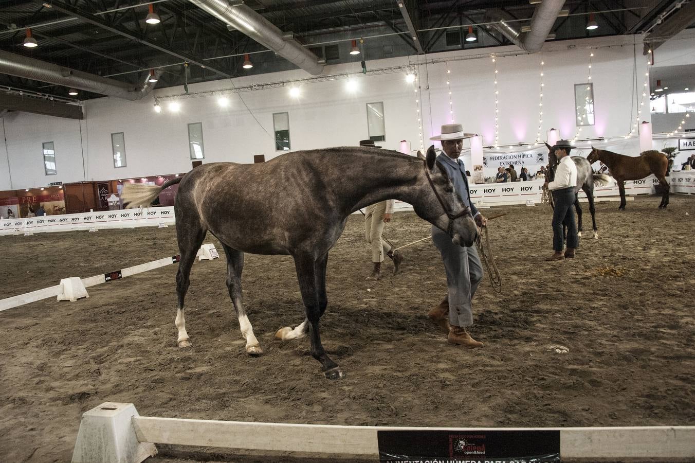 Inauguración de la VIII edición de Ecuextre